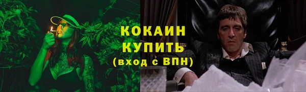PSILOCYBIN Баксан