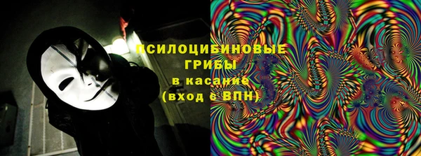PSILOCYBIN Баксан