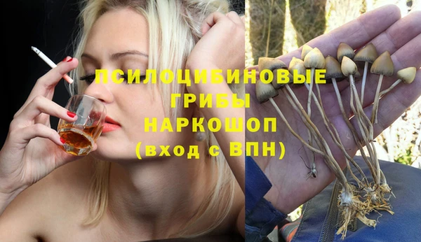 PSILOCYBIN Баксан