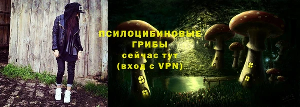 PSILOCYBIN Баксан