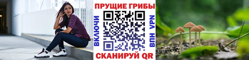 Псилоцибиновые грибы Cubensis Красноперекопск